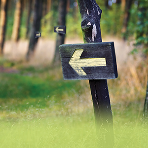 Leading Your Customers Back